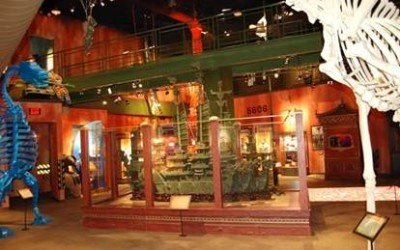 I Sold a Conveyor – Believe It or Not