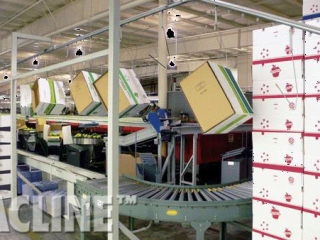 Area where cartons are placed on our enclosed track overhead conveyor for transport to apple packing area.