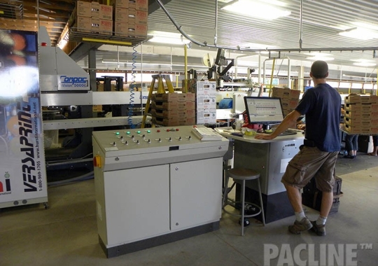 Produce sorting equipment with overhead conveyor.
