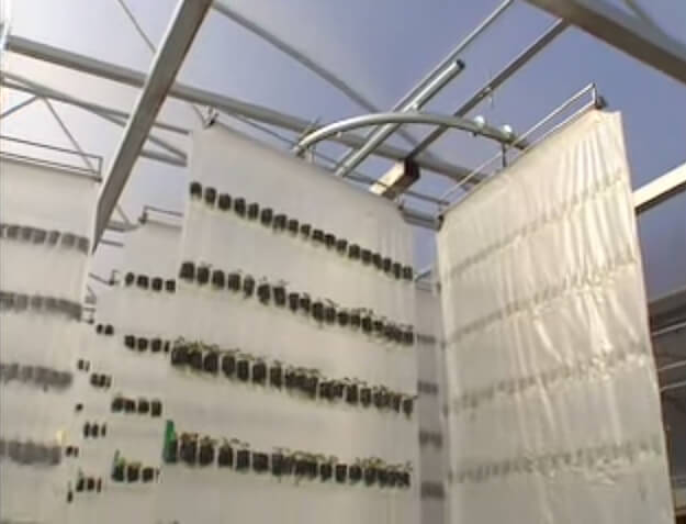 Vertical hydroponic growing system using an overhead conveyor.