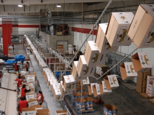 fruit packing empty boxes